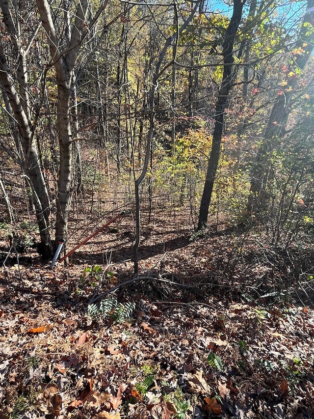 14M Ridges Overlook, Hayesville, NC 28904