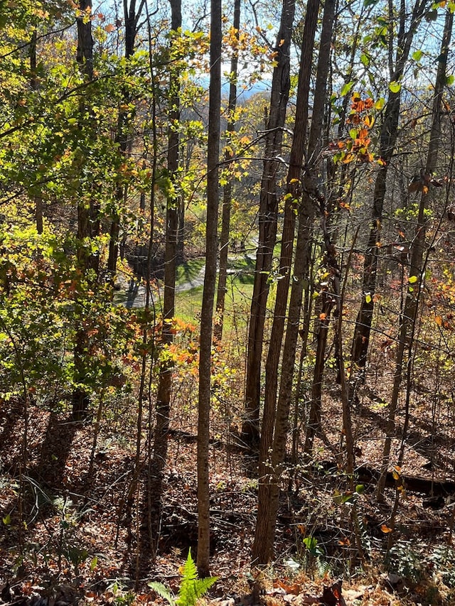 14M Ridges Overlook, Hayesville, NC 28904