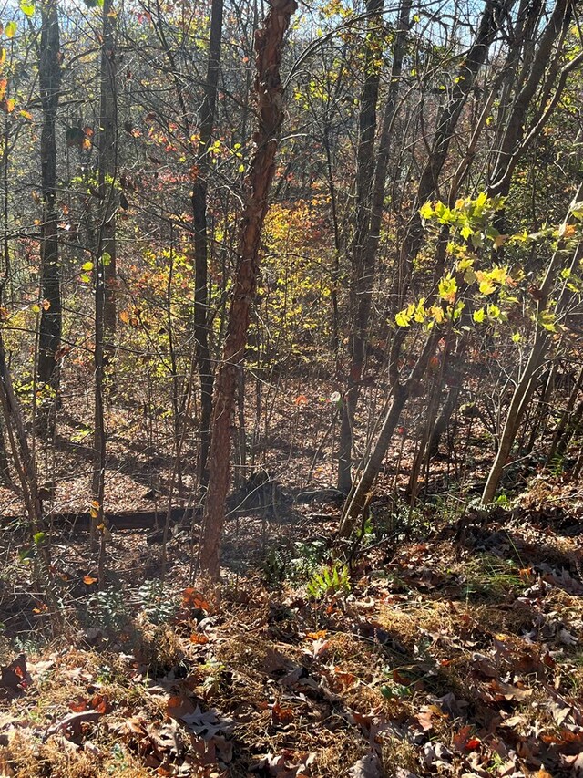 14M Ridges Overlook, Hayesville, NC 28904