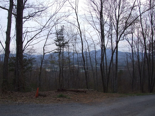 Listing photo 3 for TRACT1C Mining Gap Rd, Young Harris GA 30582