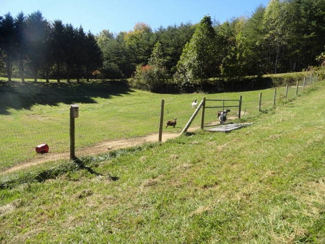 view of community with a rural view and a lawn