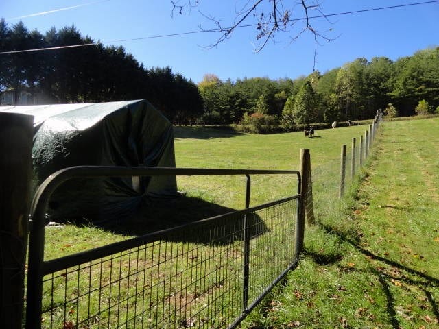 view of gate with a lawn