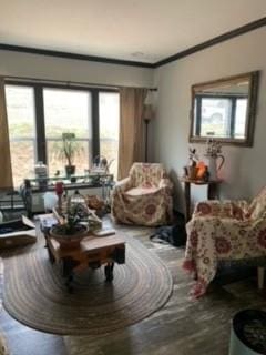 sitting room featuring plenty of natural light and ornamental molding