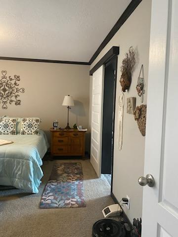 carpeted bedroom with crown molding and a textured ceiling