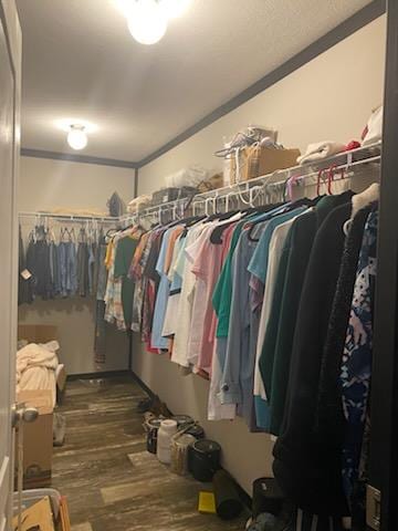 walk in closet with dark wood-type flooring