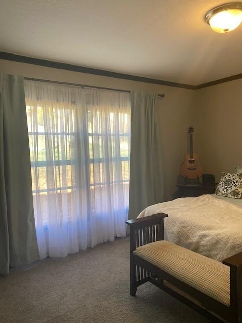 bedroom featuring carpet and crown molding