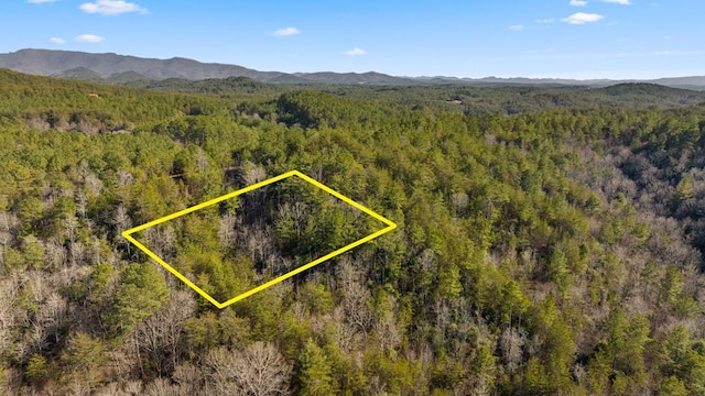 LOT19 Skyline Dr, Turtletown TN, 37391 land for sale