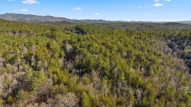 Listing photo 2 for LOT19 Skyline Dr, Turtletown TN 37391