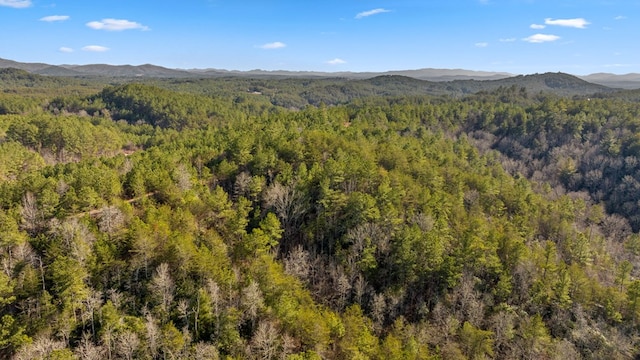 Listing photo 3 for LOT19 Skyline Dr, Turtletown TN 37391