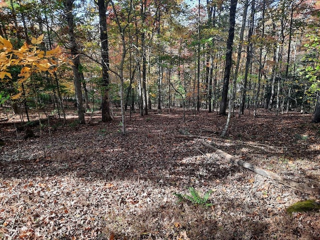 LOT33 V Addington Rd, Blairsville GA, 30512 land for sale