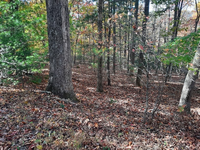 Listing photo 2 for LOT33 V Addington Rd, Blairsville GA 30512