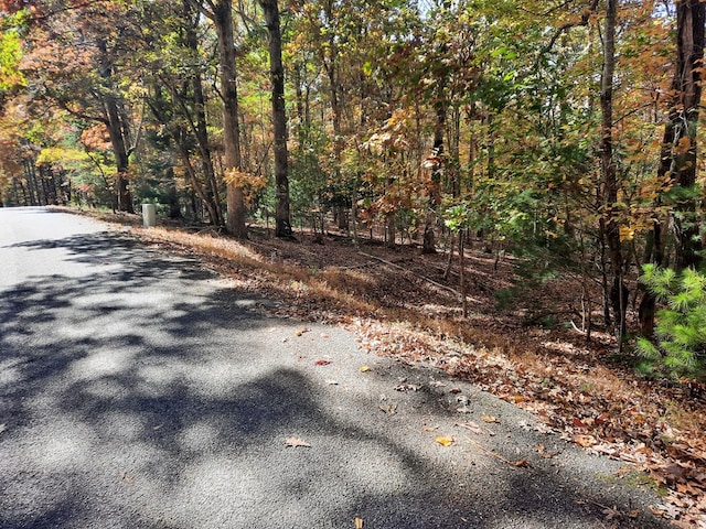 Listing photo 3 for LOT33 V Addington Rd, Blairsville GA 30512