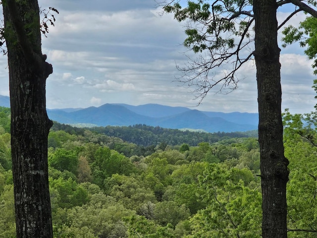 view of mountain feature