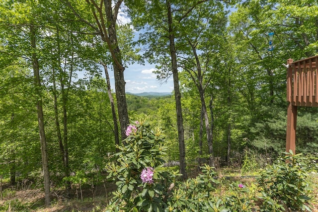 view of landscape