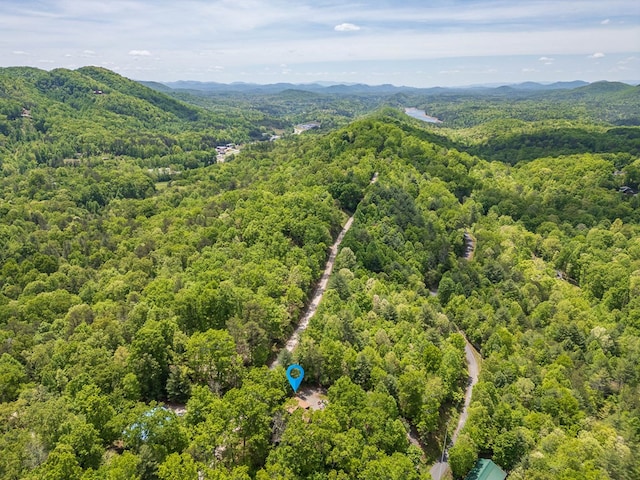 drone / aerial view featuring a mountain view