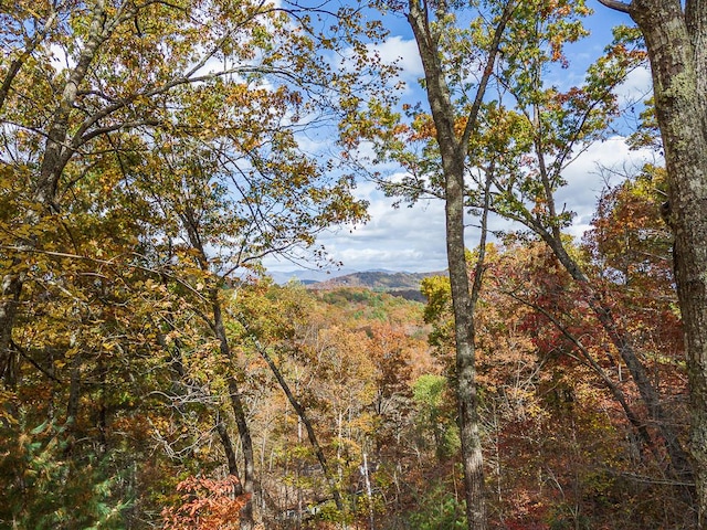 view of local wilderness