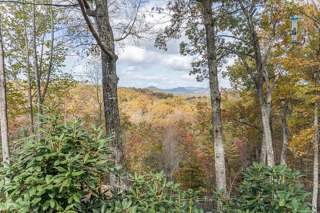 view of landscape featuring a mountain view