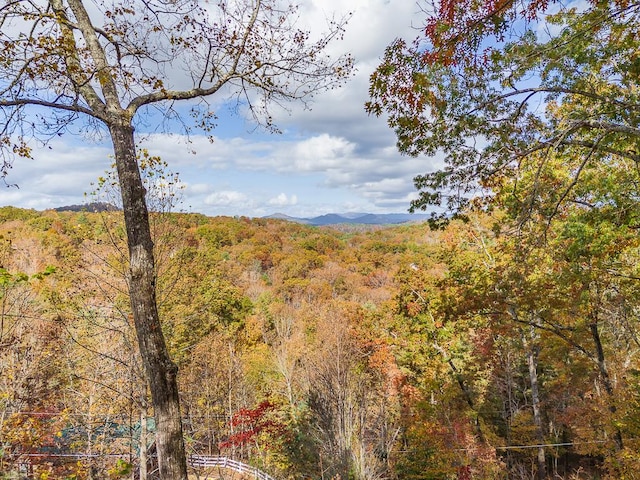 property view of mountains