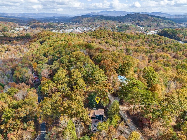 aerial view with a mountain view