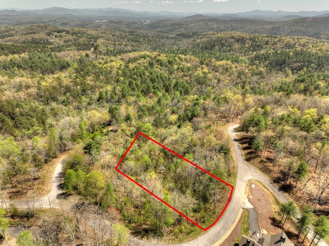 Listing photo 2 for LOT14 Hawks Vw, Morganton GA 30560