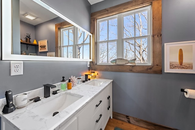 bathroom with double vanity, wood finished floors, and a sink