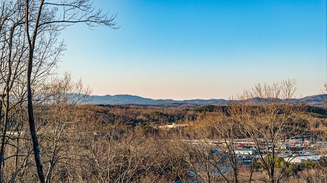 view of mountain feature