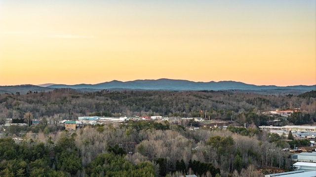 property view of mountains featuring a wooded view