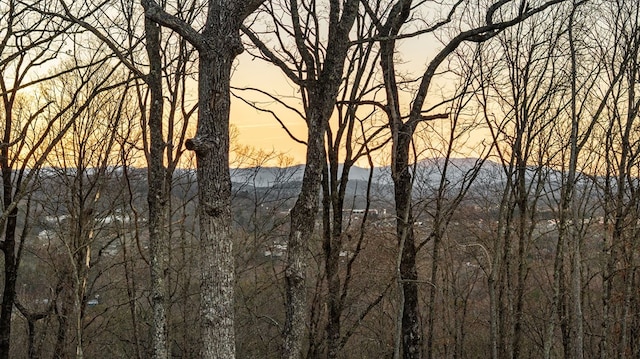 property view of mountains featuring a wooded view