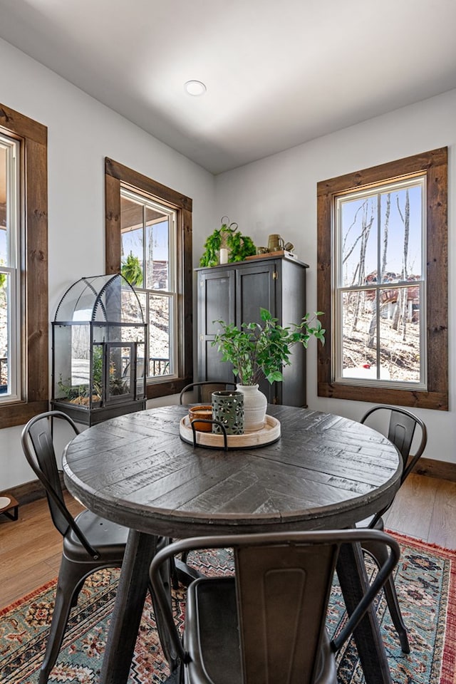 dining space featuring baseboards and wood finished floors