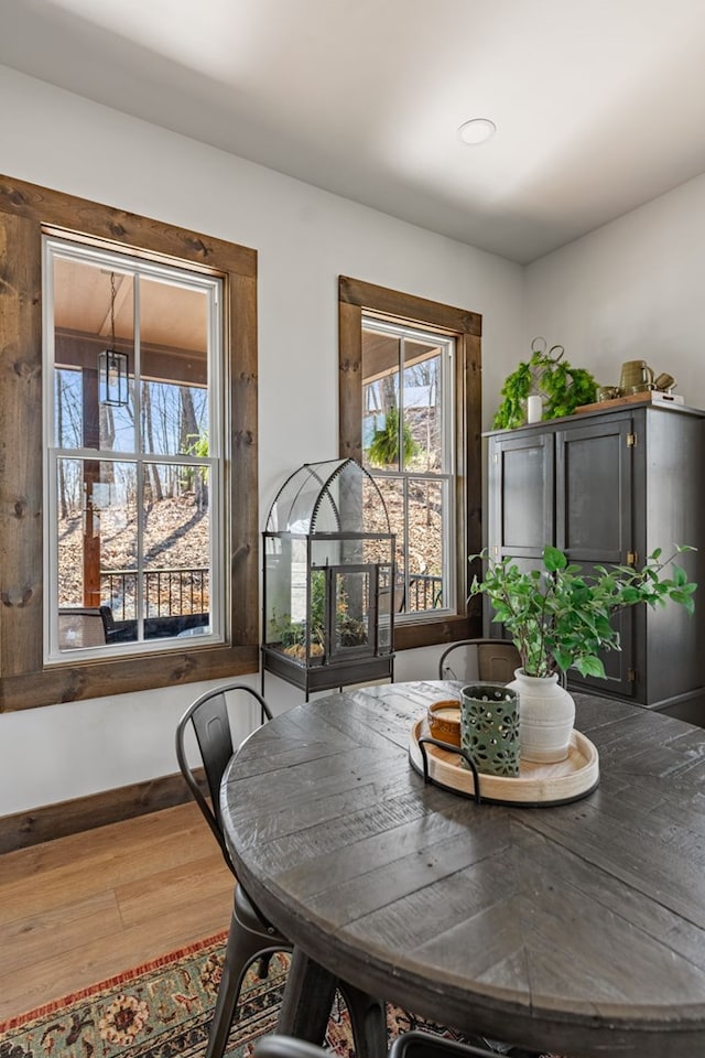 dining room featuring baseboards and wood finished floors