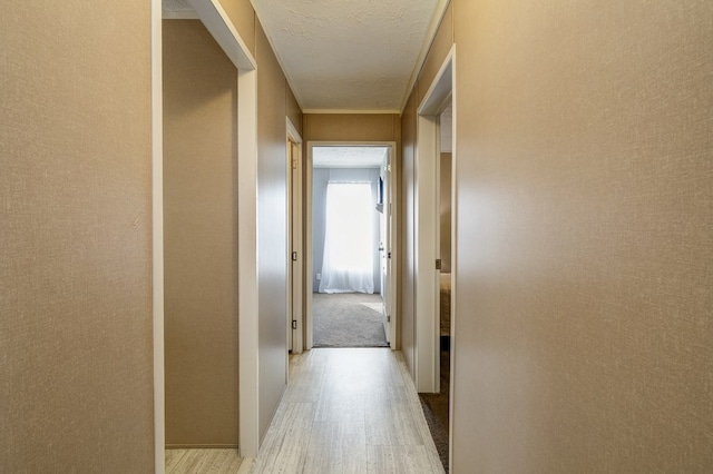 hallway featuring a textured ceiling and light wood-type flooring