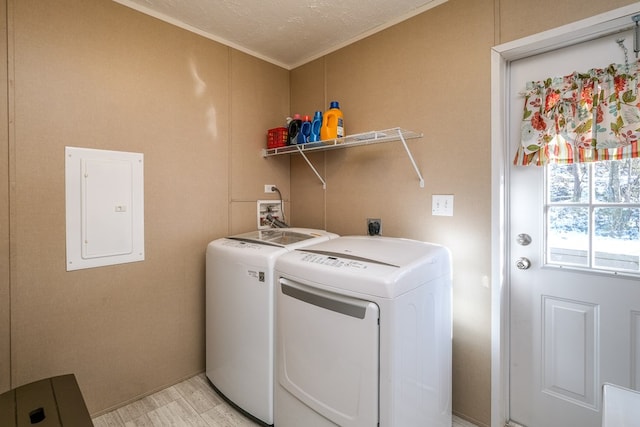 clothes washing area featuring washing machine and clothes dryer, crown molding, a textured ceiling, light wood-type flooring, and electric panel