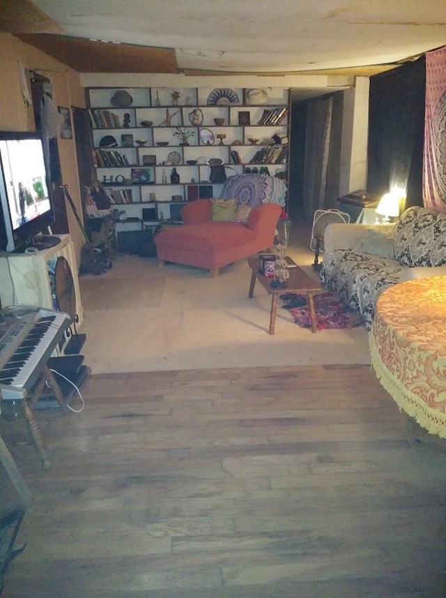 living room featuring wood-type flooring