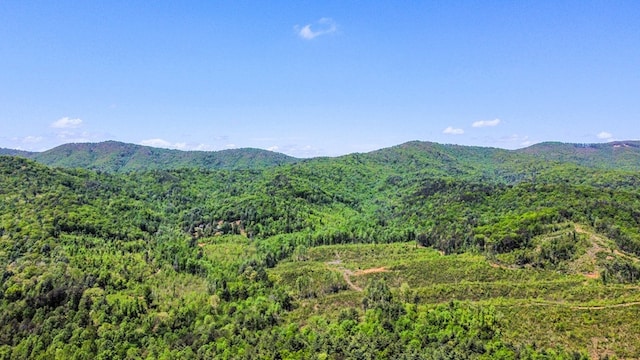 property view of mountains