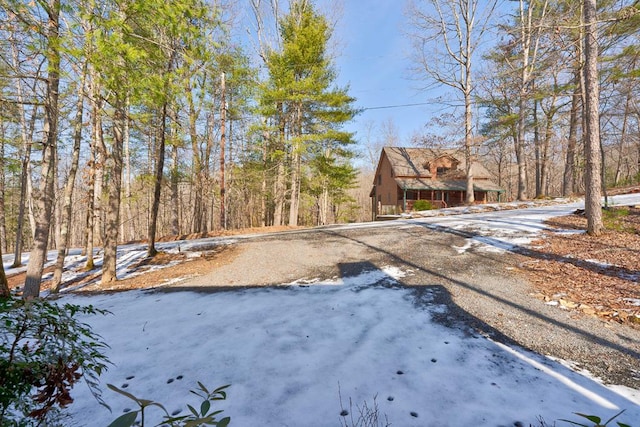 149 Pinecrest Ct, Ellijay, GA 30540 - view of yard