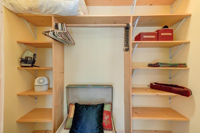 149 Pinecrest Ct, Ellijay, GA 30540 - view of spacious closet