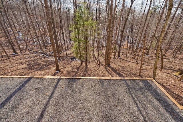 149 Pinecrest Ct, Ellijay, GA 30540 - view of yard