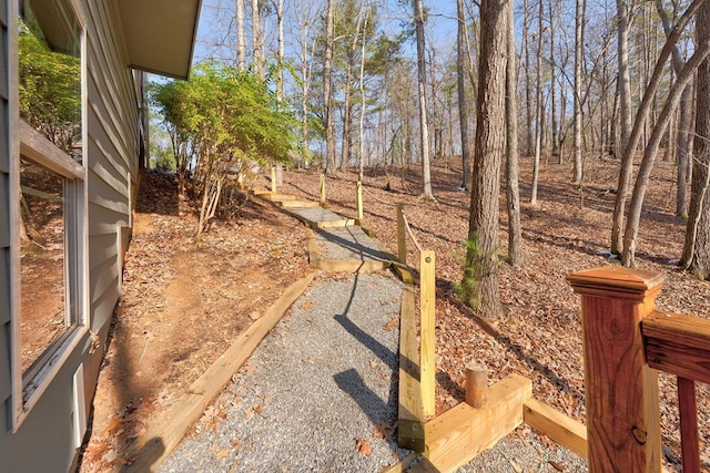 149 Pinecrest Ct, Ellijay, GA 30540 - view of yard