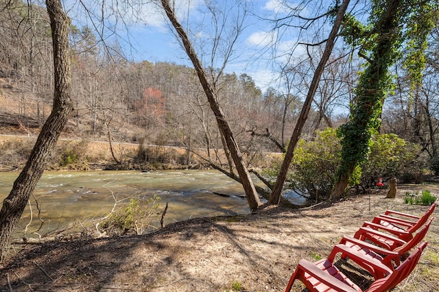 view of yard featuring a wooded view