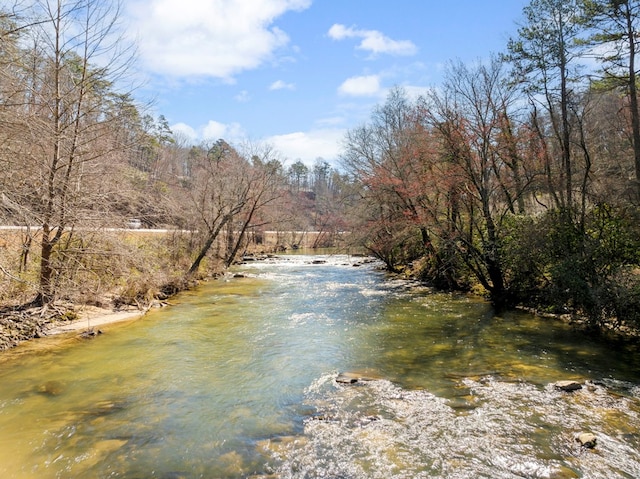 view of water feature with a wooded view