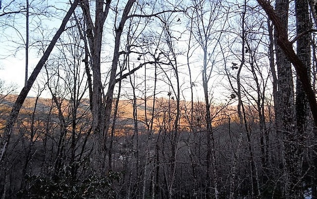 Listing photo 3 for TRACT2 Town Mountain Rd, Hayesville NC 28904