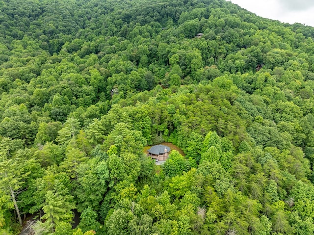 birds eye view of property with a forest view