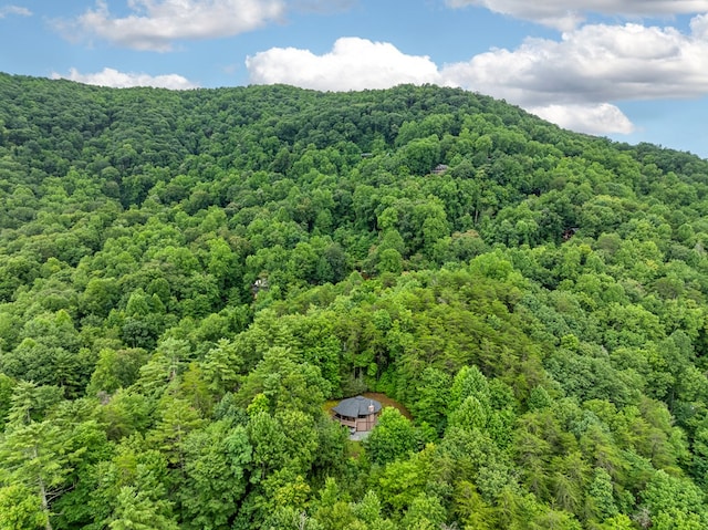 drone / aerial view featuring a view of trees