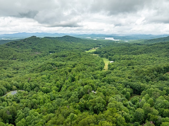 bird's eye view with a mountain view and a view of trees