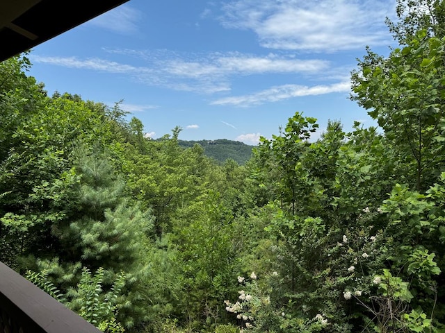 view of mountain feature with a forest view