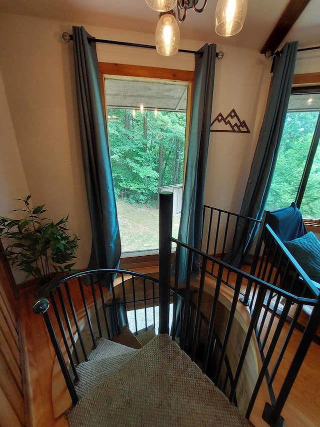 staircase with hardwood / wood-style flooring