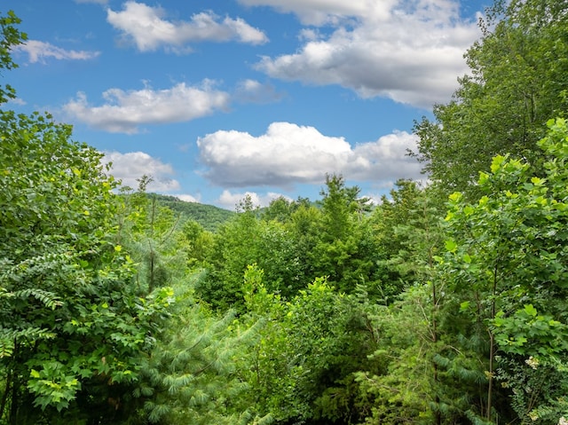 view of landscape