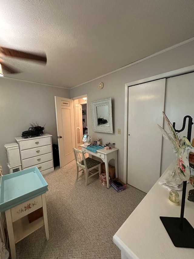 10 Whippoorwill Ln, Murphy, NC 28906 - home office featuring light colored carpet, a textured ceiling, ceiling fan, and crown molding