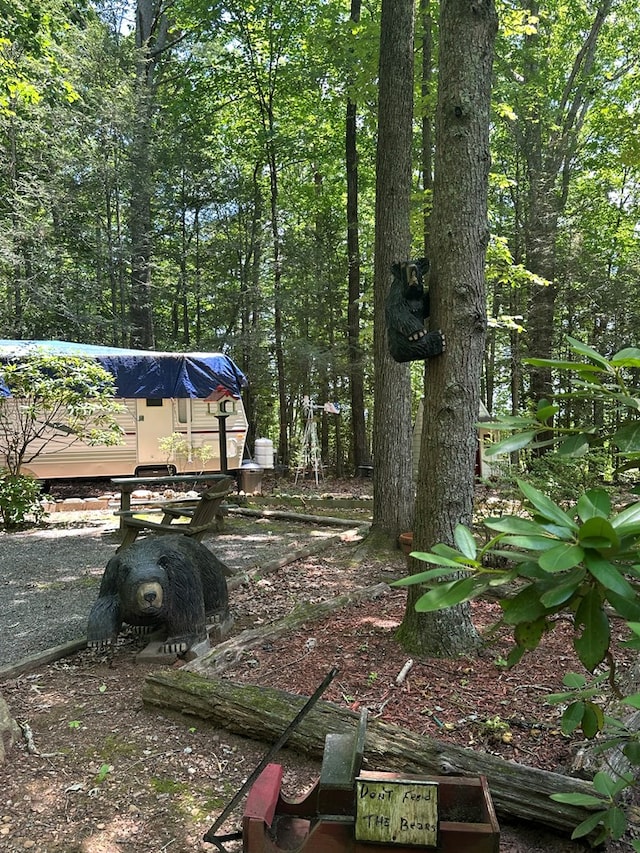 10 Whippoorwill Ln, Murphy, NC 28906 - view of yard