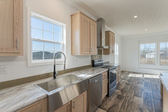 kitchen featuring dark wood-type flooring, sink, ornamental molding, appliances with stainless steel finishes, and wall chimney range hood